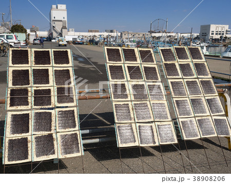 海苔の天日干し 38908206