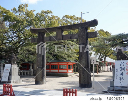 福岡　勝利祈願放生会筥崎宮一之鳥居 38908595