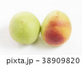 紀州南高梅 梅 シンプル 白バック 使いやすい 38909820