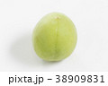 紀州南高梅 梅 シンプル 白バック 使いやすい 38909831