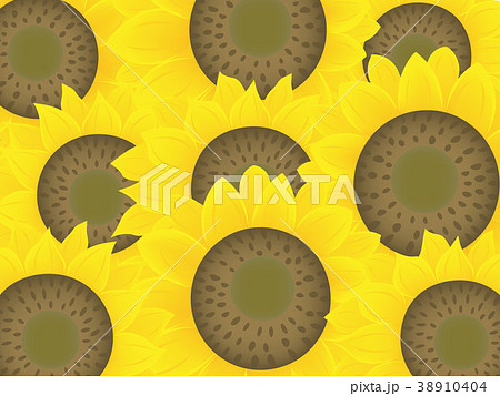 大きいひまわり 背景 イラストのイラスト素材