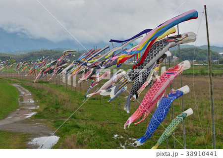鯉のぼり 38910441