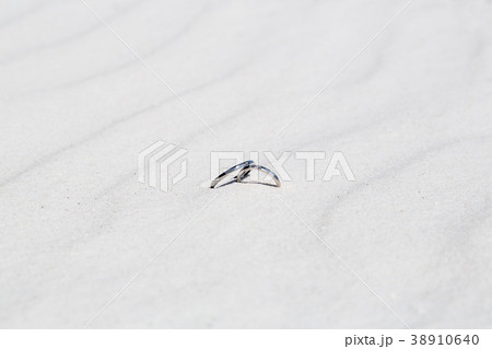 砂浜と指輪 砂浜と指輪 38910640