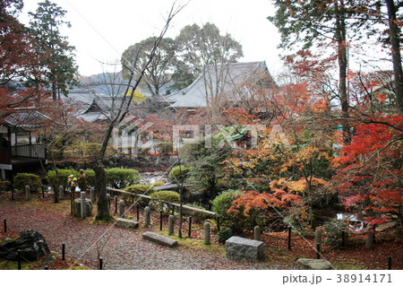 Shinsho gokuraku ji garden at fall season Shinsho gokuraku ji garden at fall season 38914171