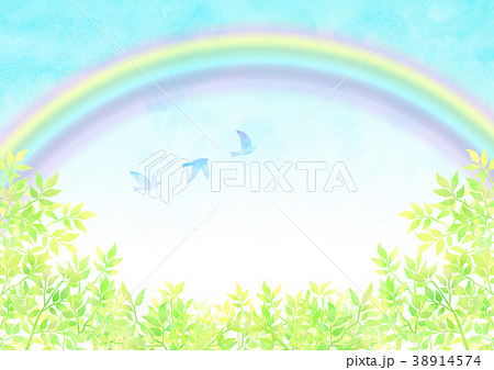 若葉と虹と青い鳥のイラスト素材 38914574 Pixta