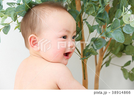 赤ちゃん　ポートレート 38914866