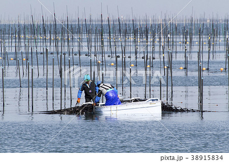 三池港　海苔摘み 38915834