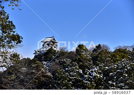 雪景色の犬山城 雪景色の犬山城 38916037