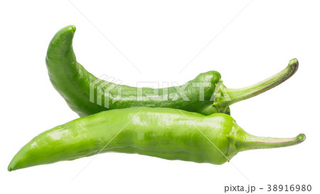 Crooked green pepper pods, paths Crooked green pepper pods, paths 38916980
