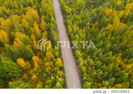 aerial shot of trail in the autumn forest  38918903