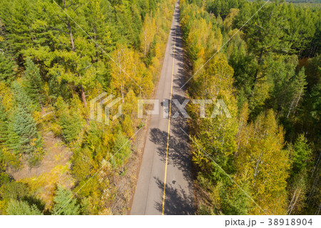 aerial shot of trail in the autumn forest  38918904