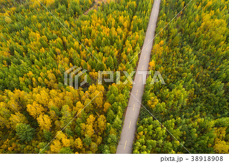 aerial shot of trail in the autumn forest  38918908
