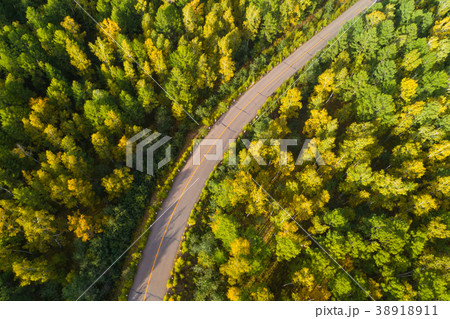 aerial shot of trail in colorful autumn forest 38918911