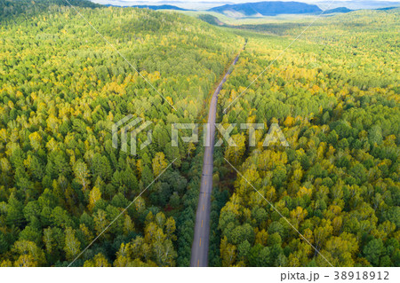 aerial shot of trail in colorful autumn forest 38918912