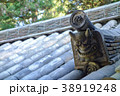 圓教寺の鬼瓦 38919248