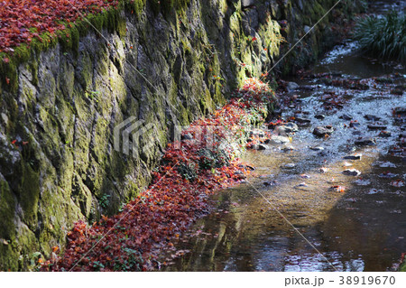 the Tofuku ji temple garden with Fall Foliage the Tofuku ji temple garden with Fall Foliage 38919670
