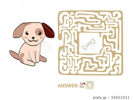 dog bone puzzle