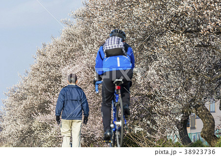自転車で春を楽しむ人 自転車で春を楽しむ人 38923736
