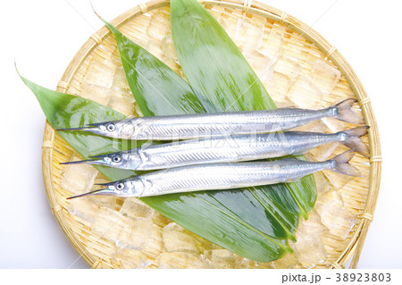 サヨリ　食材 38923803
