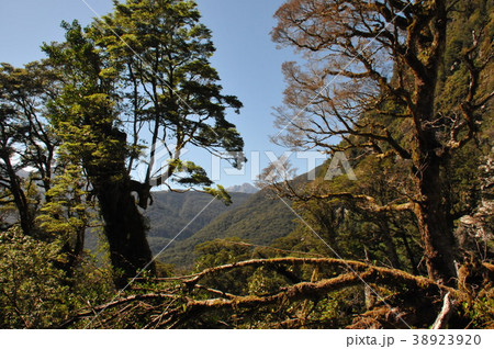 マリアン湖トレッキングルート 38923920