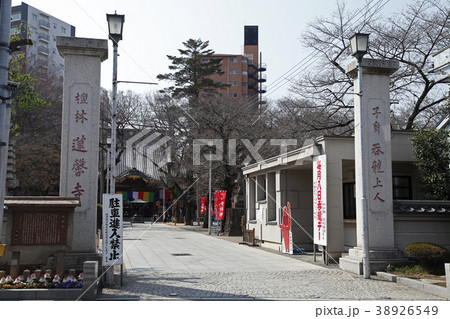 蓮馨寺（福禄寿神：川越市） 38926549