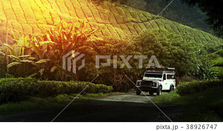 Off Road car travel in mountains 38926747