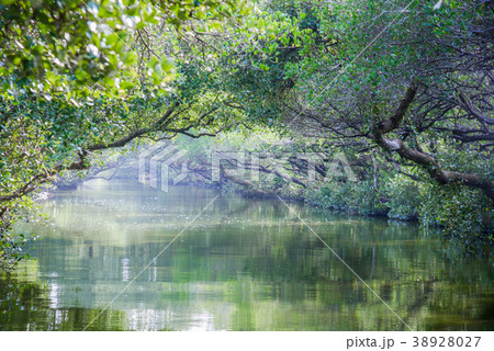 台湾 台南 景色 38928027