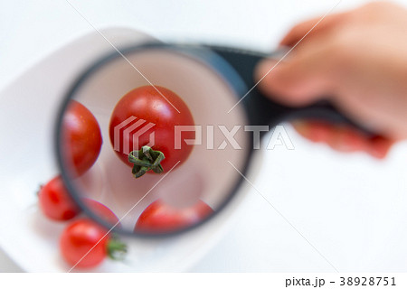 野菜 ベジタブル 青菜 38928751