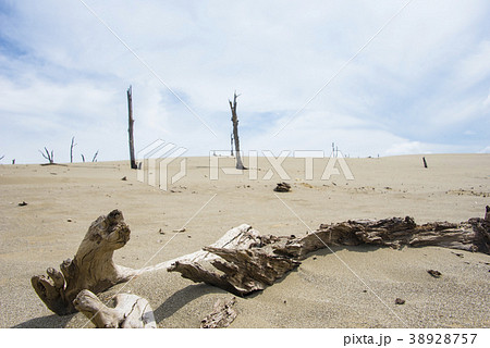 屏東 台湾 観光地 38928757