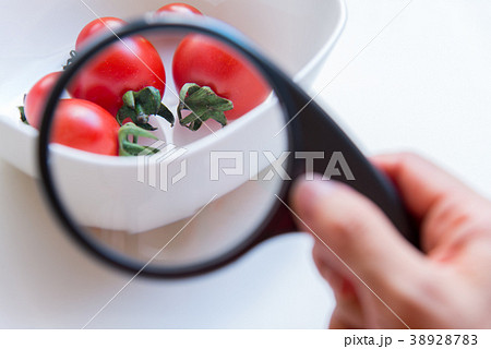 野菜 ベジタブル 青菜 38928783