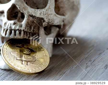Close up of Skull biting Golden bitcoin on wooden 38929529