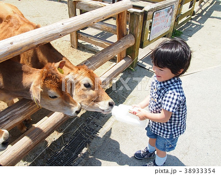 ふれあい体験 ふれあい体験 38933354