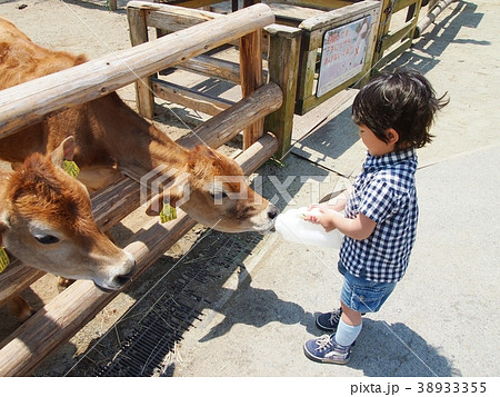子牛のふれあい広場 38933355