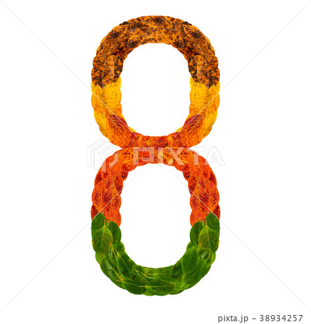 Autumn leaves bright number eight 8. Natural multi Autumn leaves bright number eight 8. Natural multi 38934257