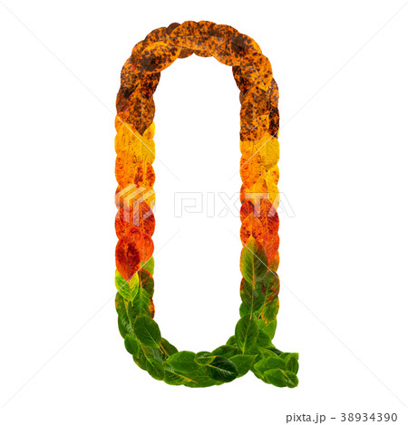 Autumn leaves bright letter Q. Natural multi 38934390