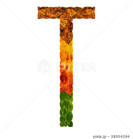 Autumn leaves bright letter T. Natural multi 38934394
