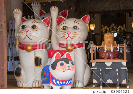 今戸神社の招き猫の写真素材