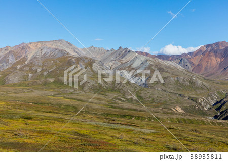 Denali National Park Alaska Landscape 38935811