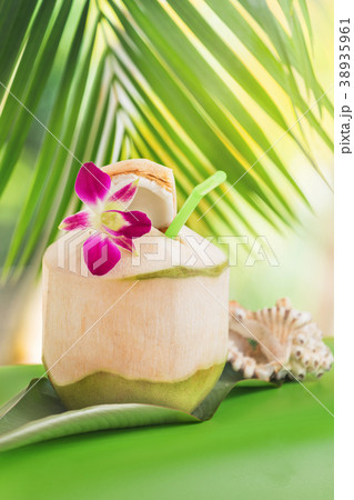 Tropical exotic fresh coconut water drink palm Tropical exotic fresh coconut water drink palm 38935961