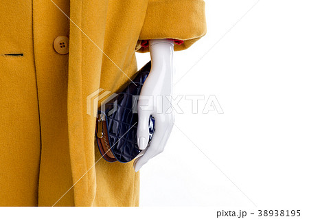Women cashmere coat, wallet, copy space. 38938195
