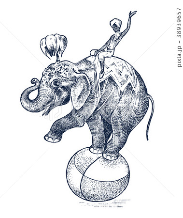 Circus elephant. African Wild animal on the ball - Stock Illustration  [38939657] - PIXTA