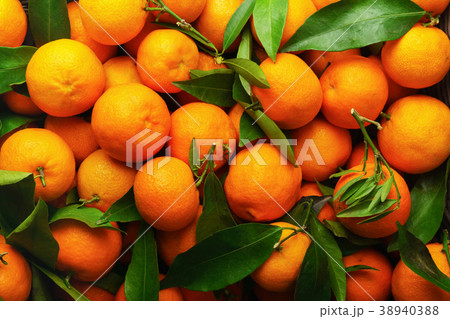 Tangerines (oranges, mandarins, clementines). Tangerines (oranges, mandarins, clementines). 38940388