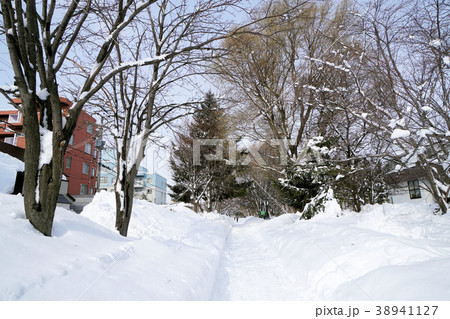 札幌 白石サイクリングロード(白石こころーど南郷通9丁目付近) 札幌 白石サイクリングロード(白石こころーど南郷通9丁目付近) 38941127