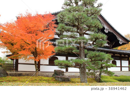 東福寺　紅葉 38941462
