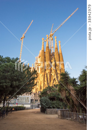 夜明けの朝日を浴びるサグラダ・ファミリア 38942979