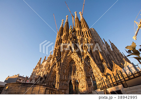 夜明けの朝日を浴びるサグラダ・ファミリア 夜明けの朝日を浴びるサグラダ・ファミリア 38942995