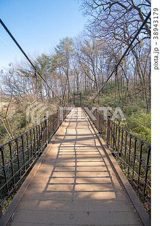 国営 武蔵丘陵 森林公園 あざみくぼばし 国営 武蔵丘陵 森林公園 あざみくぼばし 38943179