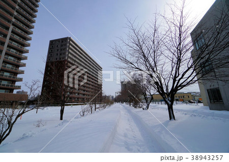 札幌　白石サイクリングロード（白石こころーど東札幌1条3丁目付近） 38943257