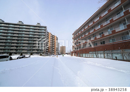 札幌　白石サイクリングロード（白石こころーど東札幌1条2丁目付近） 38943258