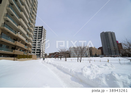 札幌　白石サイクリングロード（白石こころーど東札幌2条1丁目付近） 38943261